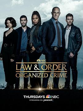 法律与秩序：组织犯罪 第三季(全集)
